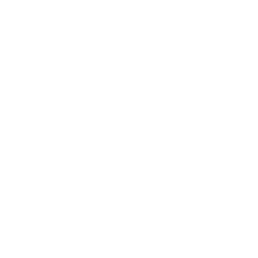 Logo Value-Vision