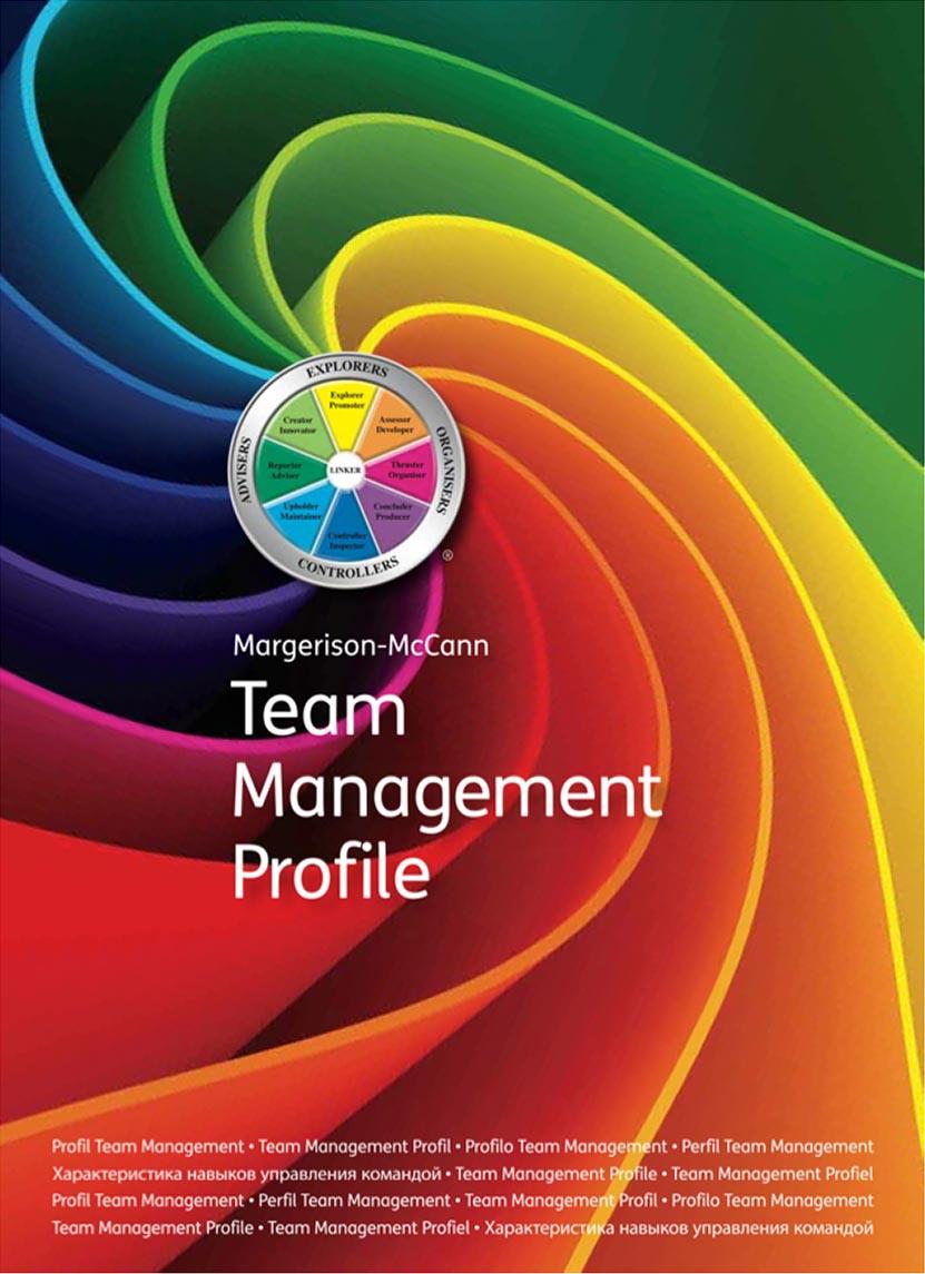 Team Management Profil